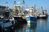 The European Commission has proposed fishing quotas for 2021