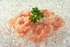 Shrimp