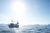 Fishing outside Senja. Photographer: Johan Wildhagen ©NSEC