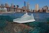 adidas has created a world first with a shoe upper made entirely of recycled ocean plastic and gillnets
