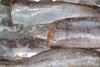 Expansion of the allowable catch of hoki from NZ's western stocks should be backed up by research, first