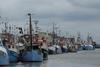 EU fisheries management hits difficulties