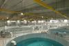 Aquaculture pens inside a laboratory