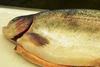 Farmed sea trout and other salmonids from Tasmania help boost Australian aquaculture figures. Photo: S McGowan/MPB