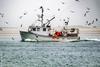 European fishing boat