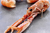 Scotland has welcomed a major boost for fishermen thanks to langoustine deal with Sainsbury's