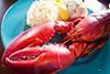 Canadian lobster