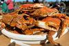 Maryland crab