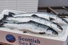 The RAS hatchery at Barcaldine cost £58 million Photo: Scottish Sea Farms