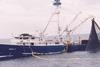 Plans for an international non government agency to combat illegal fishing has received a mixed response