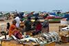 India small-scale fisheries