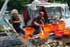 US oyster harvesting