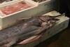 The EU has said it will table ambitious proposals for the conservation of Mediterranean swordfish, tropical tunas and sharks. Credit: Joey Brookhart/Marine Photobank