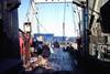 Trawler fishing for krill in the South Antarctic