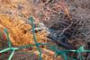 Ghost gear is one of the major causes of marine pollution