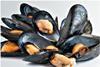 Around 70 people in south east England have reported shellfish poisoning symptoms