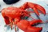 The first whole lobster has been certified by the Marine Stewardship Council (MSC)
