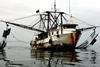 NOAA is working at stamping out pirate fishing Photo: NOAA