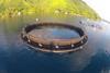 Fusion Marine has supplied a small fish farm system in Tahiti