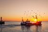 Belgium fishing boat