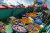 India fishing