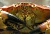 UK crab