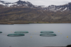 Aquaculture Graphic (ICELAND)