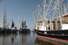 Some of the vessels in Gulf shrimp fleet