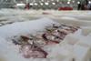 Scottish seafood