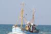 The Joint Demersal Fisheries in the North Sea has been awarded MSC certification