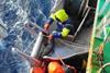 The toothfish stocks targeted are healthy