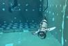 UJIFISH robotic fish being tested in a tank