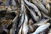 The picture shows dried herring