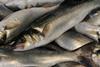 Aquatic foods demand could double by 2050