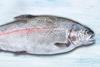 Turkish salmon