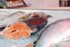 China’s salmon imports booming