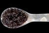 The new fish farm will produce luxury caviar. Photo: THOR