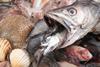 UK seafood consumption crisis
