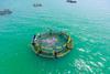 Cage fish farming