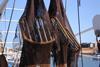 Australia Northern Prawn - Turtle Exclusion Devices