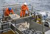 Chile fisheries