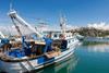 Fishing trawler moored in harbour, Agropoli, Campania, Italy