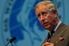Prince Charles addressed the conference on sustainability