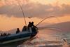 Pole-and-line fisheries need 25,000t of baitfish to catch tuna each year