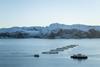 salmon pens at sea with low snow-capped mountains behind