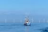 Fishing-vessel-and-wind-turbines