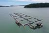 Hope-Island-steelhead-farm-Cooke-Aquaculture-Pacific-2022-scaled