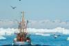 The EU and Greenland have signed a new agreement to promote sustainable fishing Photo: European Commission