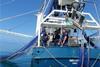AFMA fisheries officers inspecting a vessel operating in the Northern Prawn Fishery in the Gulf of Carpentaria