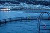 New research will study the effects on health feed for salmon farmed in arctic regions